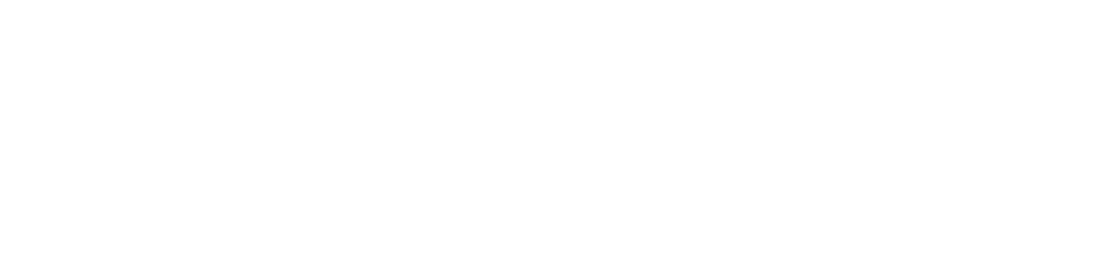 Security Plus Winona