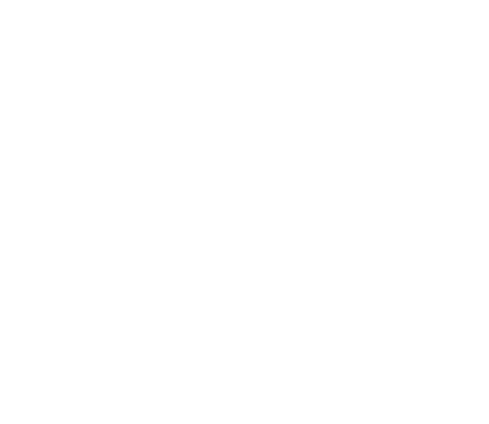 Security Plus Winona